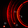 [Figure 1]