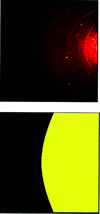 [Figure 4]