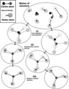 [Figure 1]