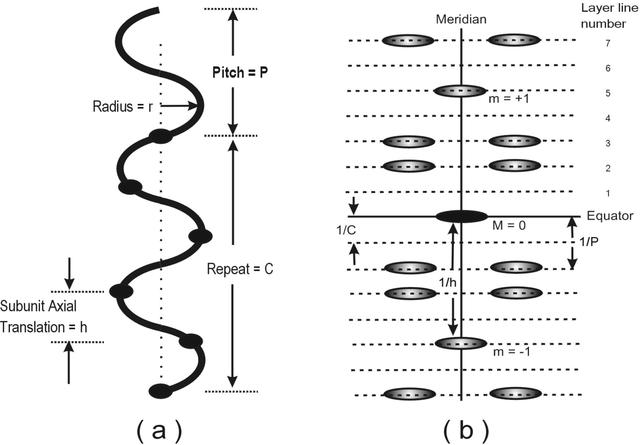 [Figure 1]