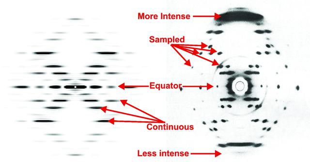 [Figure 4]