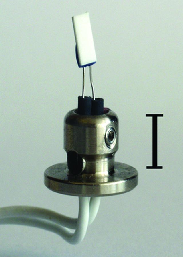 [Figure 1]