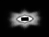 [Figure 2]
