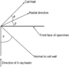 [Figure 6]