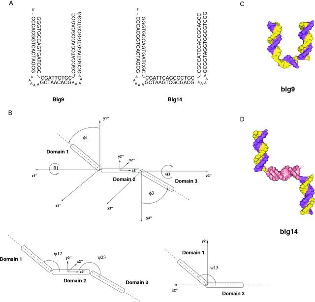 [Figure 1]
