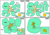 [Figure 9]