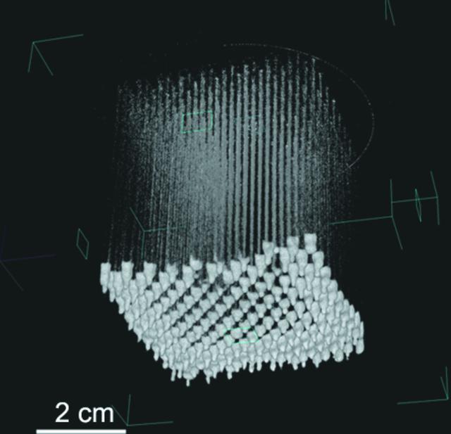 [Figure 4]