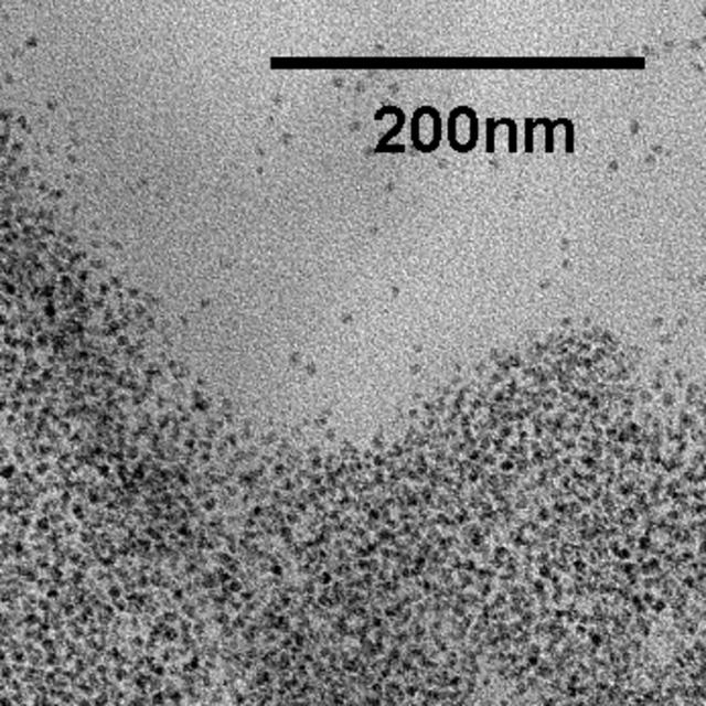 [Figure 1]