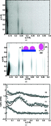 [Figure 5]