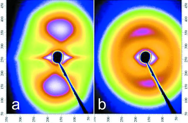 [Figure 7]