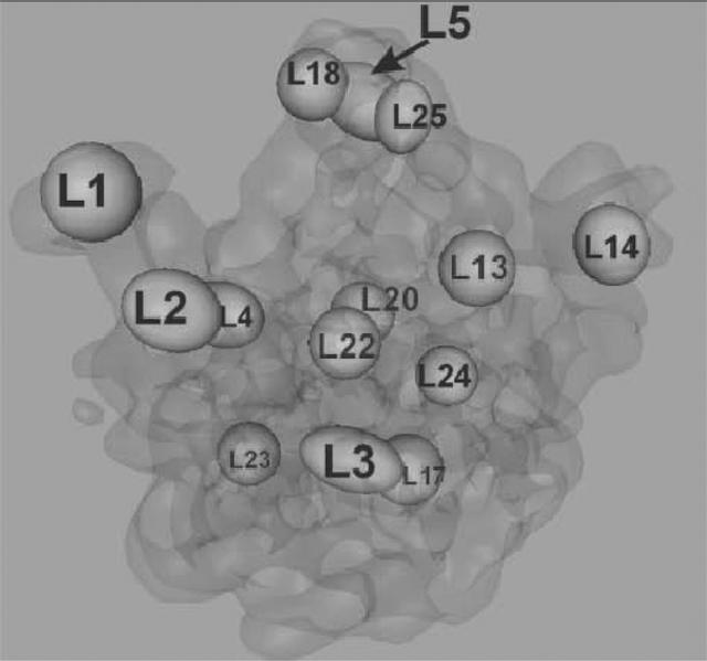 [Figure 3]