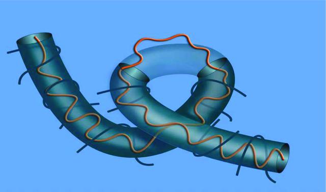 [Figure 3]