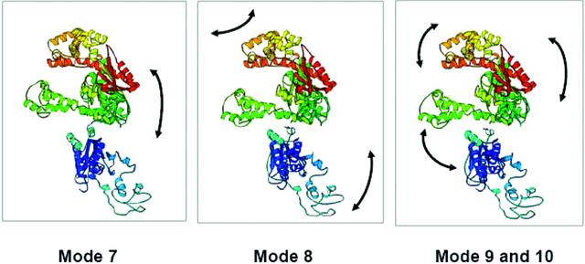 [Figure 8]