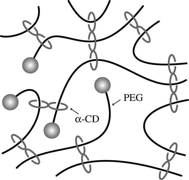 [Figure 1]