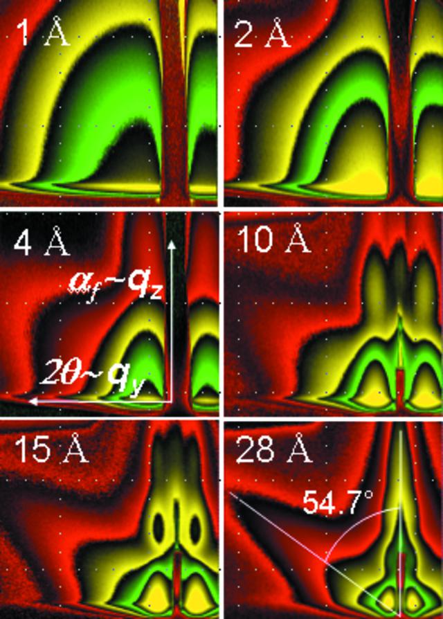 [Figure 5]