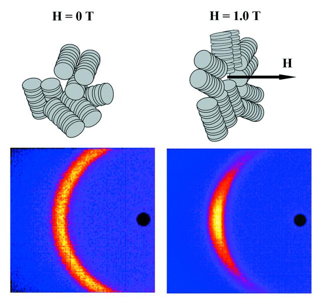 [Figure 4]