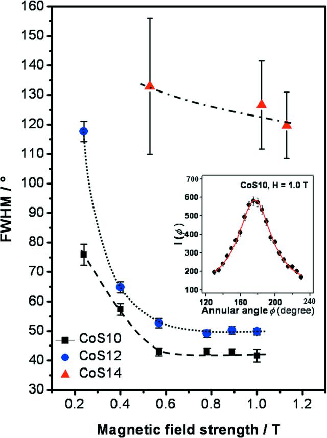 [Figure 5]