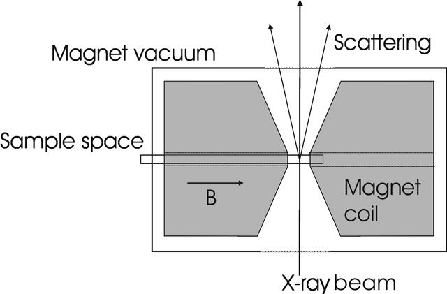 [Figure 1]