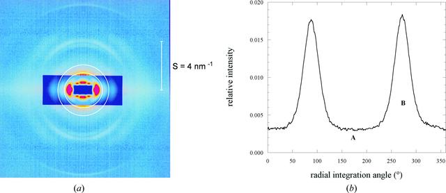 [Figure 3]