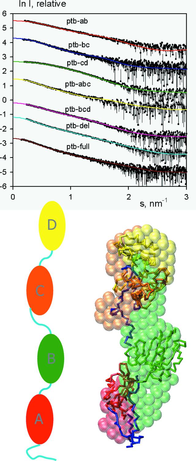 [Figure 4]