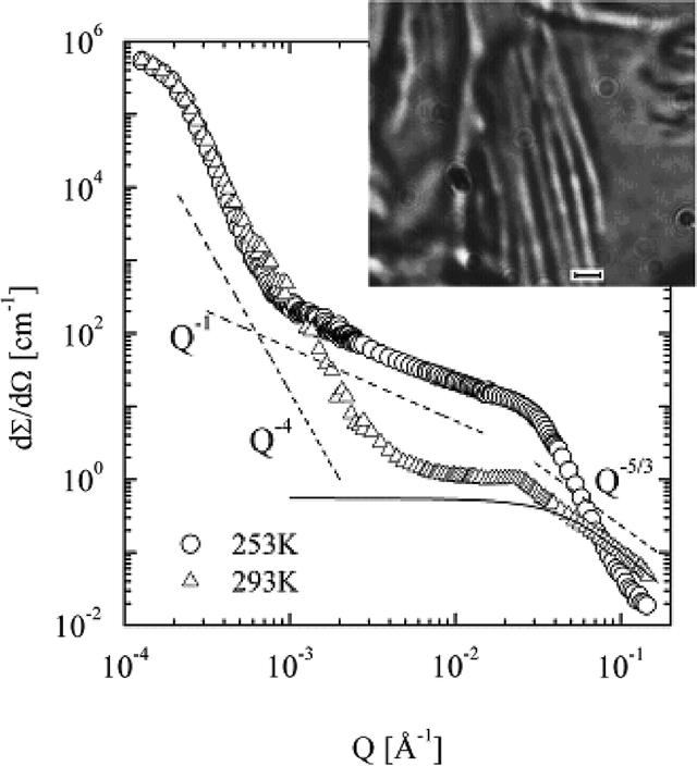 [Figure 1]