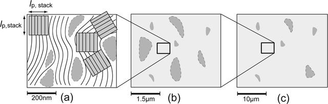 [Figure 5]