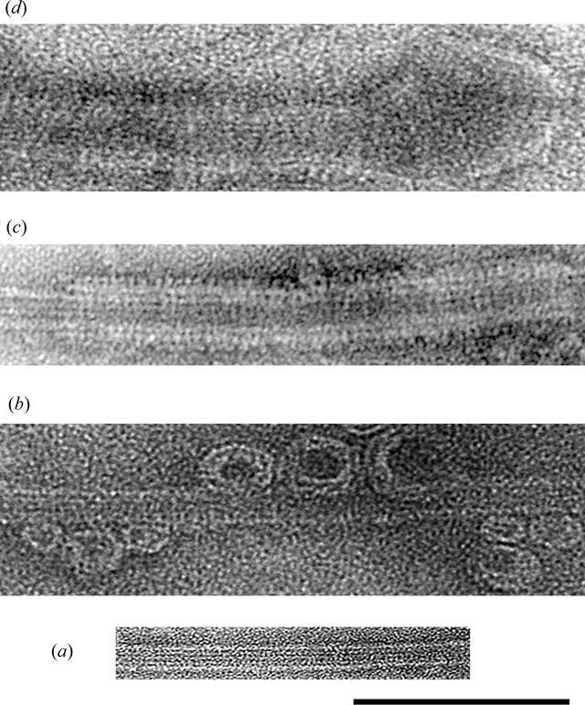 [Figure 2]