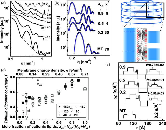 [Figure 3]