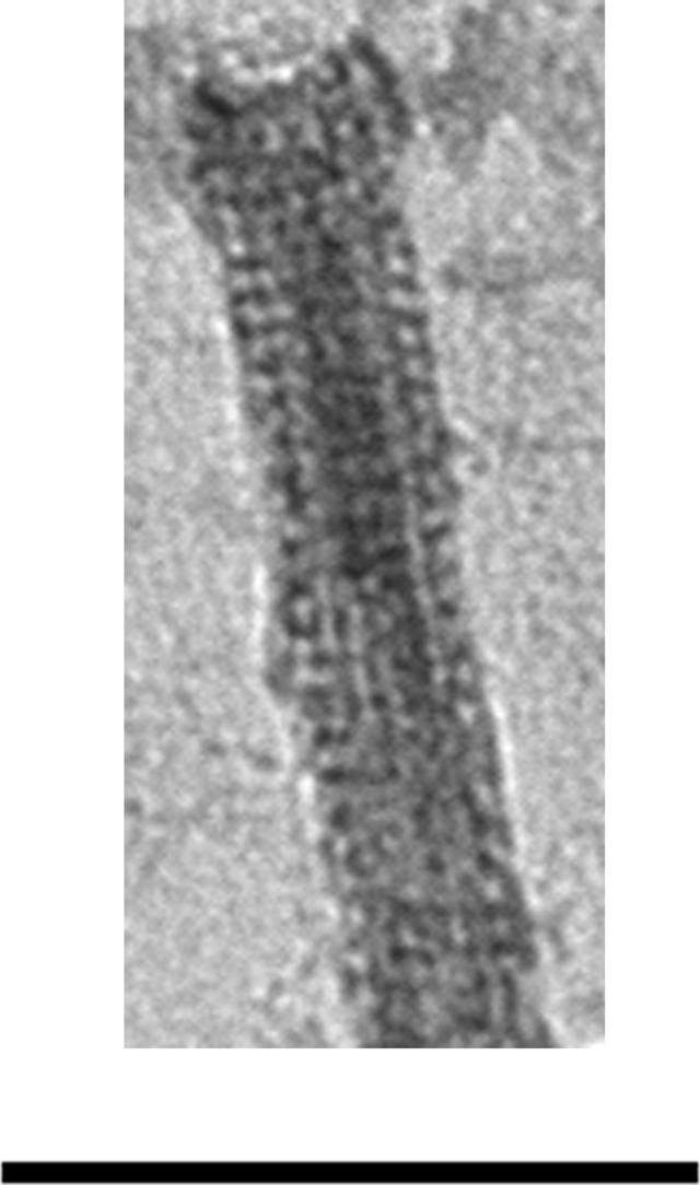 [Figure 6]