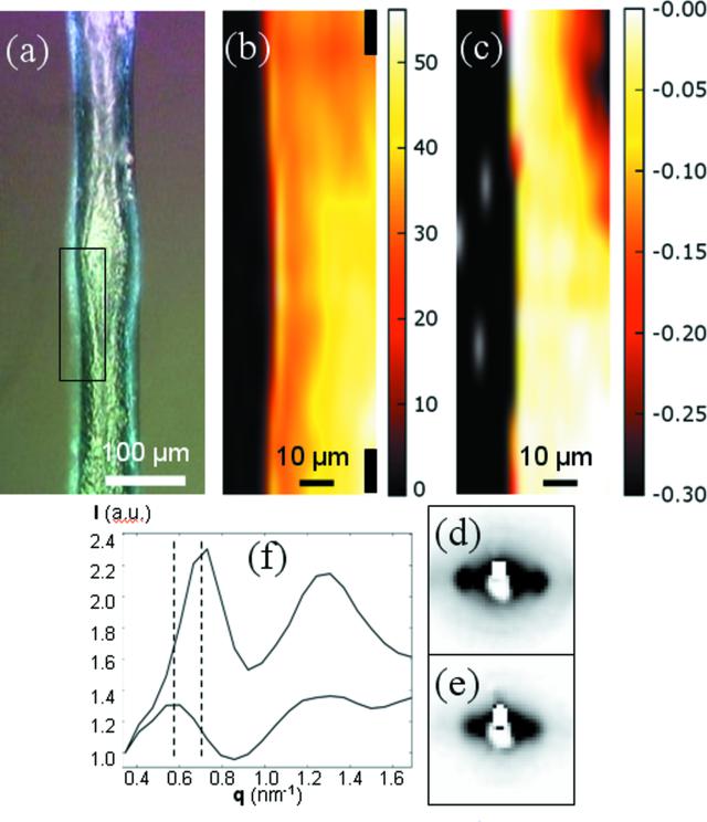[Figure 3]