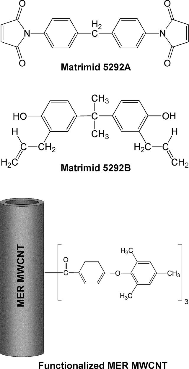 [Figure 1]