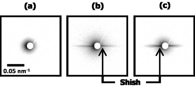 [Figure 1]