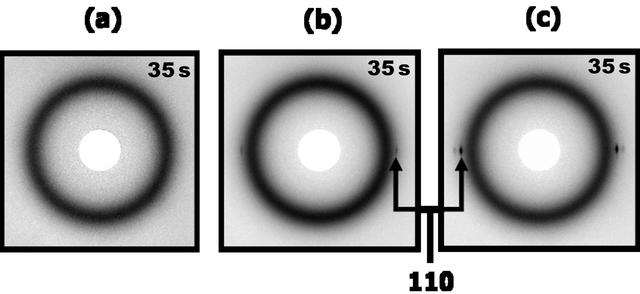[Figure 2]