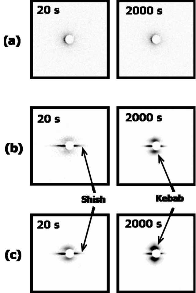 [Figure 4]