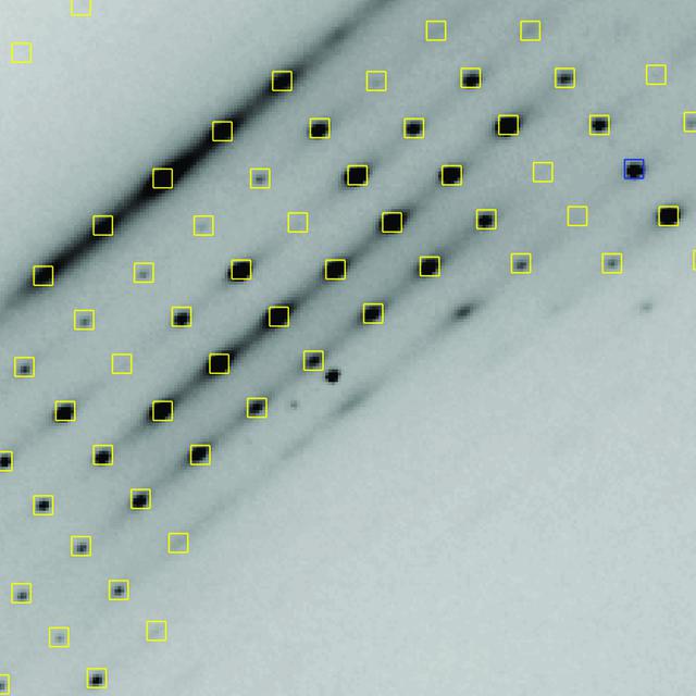 [Figure 1]