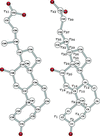 Cholanic Acid