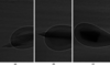 [Figure 6]