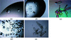 [Figure 3]