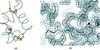 [Figure 4]