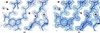 [Figure 5]