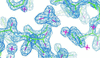 [Figure 6]