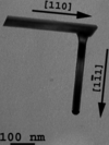[Figure 5]