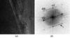 [Figure 6]