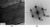 [Figure 7]