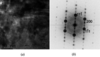 [Figure 9]