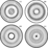 [Figure 10]