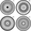 [Figure 9]