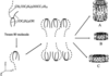 [Figure 3]