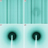[Figure 1]