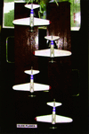 [Figure 1]
